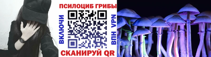мориарти клад  ОМГ ОМГ онион  Верхняя Пышма  Псилоцибиновые грибы мицелий 