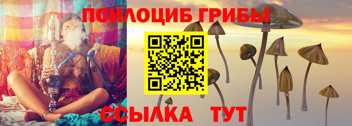 Галлюциногенные грибы MAGIC MUSHROOMS  Вход с VPN  Верхняя Пышма 